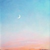 Twilight in the Marsh