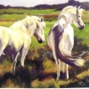 White Horses