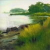 Grasses by the Shore