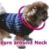 neck
