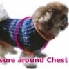 chest