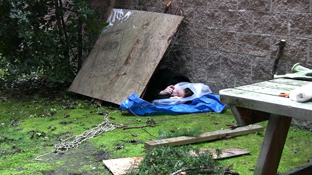 Shelter