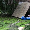 Shelter