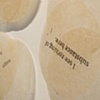 Steeped (Detail)