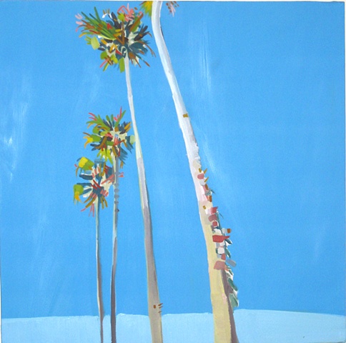 Palm Trees Lined in a Row