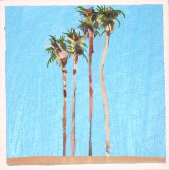 Another bunch of palms.