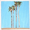 Another bunch of palms.