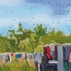 Glass Slide Paintings