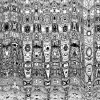 Untitled 6