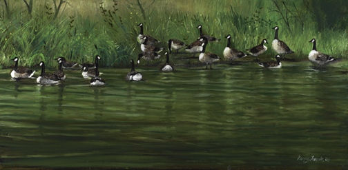 Gaggle of Geese