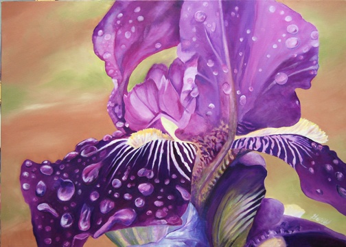 Dew Drop Iris