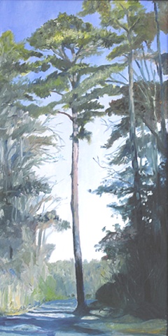 Cabin Rd