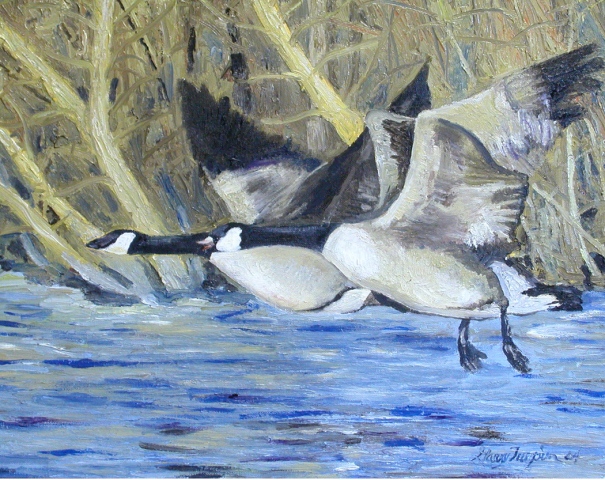 Lake Pair
