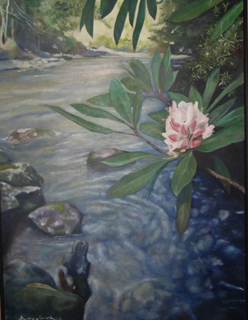 Mountain Laurel