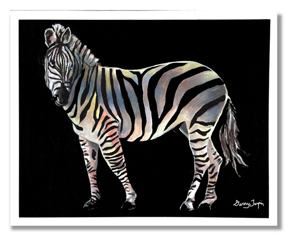 Rainbow Zebra Two