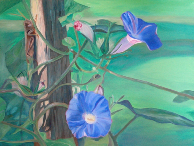 Morning Glory Hopper