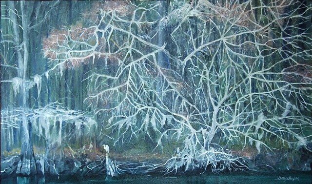 Tree Ghosts Spring Edisto River Givhan's Ferry State Park, SC