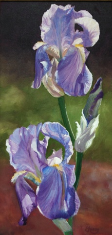 iris