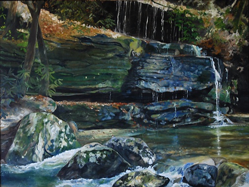 Western NC mountain stream