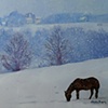 Horse and Snow on Anderson Mill Rd.