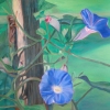 Morning Glory Hopper