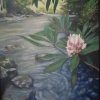 Mountain Laurel
