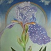 Iris for Gloria
