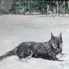Snow Buddy