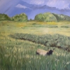 Lost In Cow Heaven