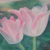 Tulip Couple