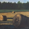 Hay Rolls