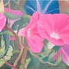 Morning Glory Gossip