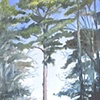 Cabin Rd