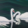 Love Swans