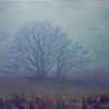 Winter's Morning