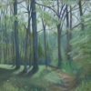 Summer Meadows