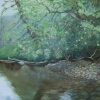 Cool Waters