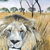 Wild Things