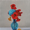 nasturtiums and hydrangeas