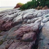 Rocks- Maine