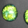Peridot gleam small stud earrings