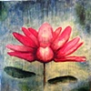 The Lotus