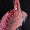 T Bone