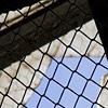 skylight 2