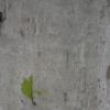 texture 1