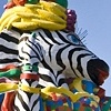 zebra shuffle