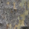texture 2