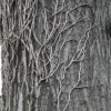 texture 3