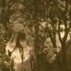 paris winter