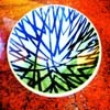 PLATE #13